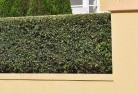 Sydenham VIChard-landscaping-surfaces-8.jpg; ?>